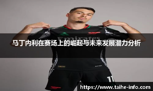 马丁内利在赛场上的崛起与未来发展潜力分析